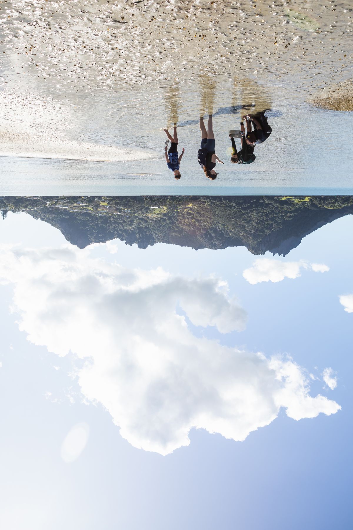 Regenerative Environment